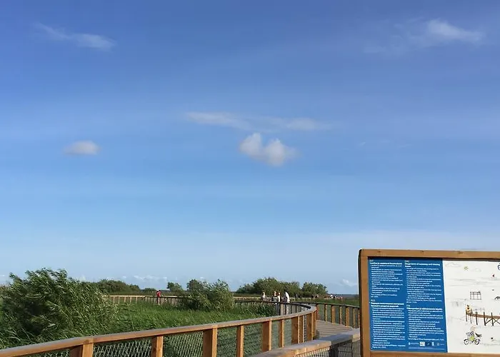 Solar - House With Private Garden Апартаменты Пярну