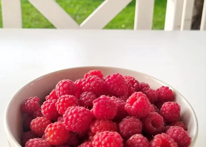 Апартаменты Solar - House With Private Garden Пярну