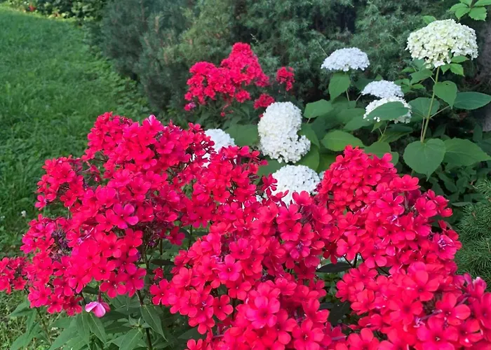 Solar - House With Private Garden * Пярну