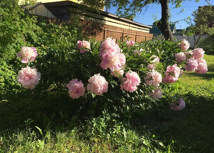 Апартаменты Solar - House With Private Garden *